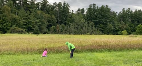 Two children in woods-bordered field