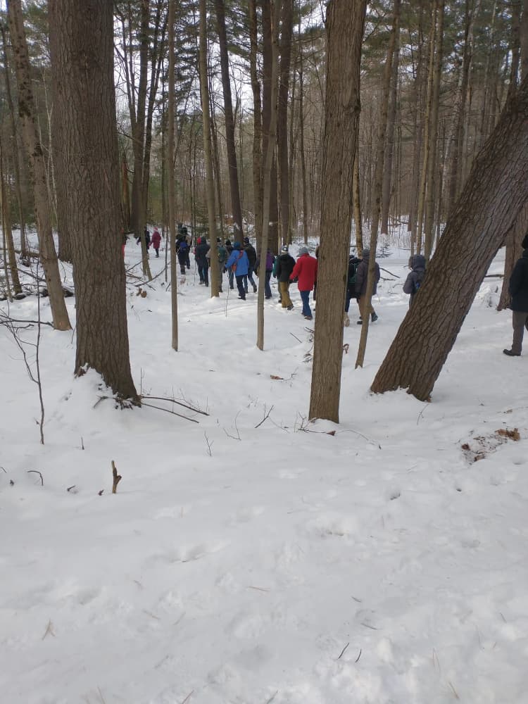 Concerned local citizens join in a beautiful wintery woodland setting.