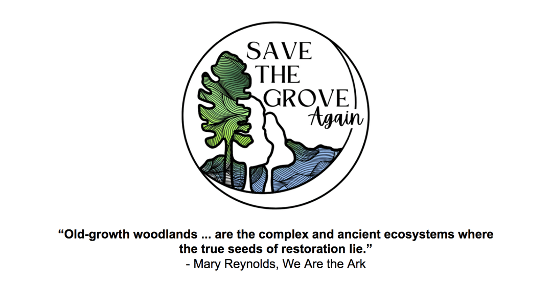 Logo and Mary Reynolds Quote