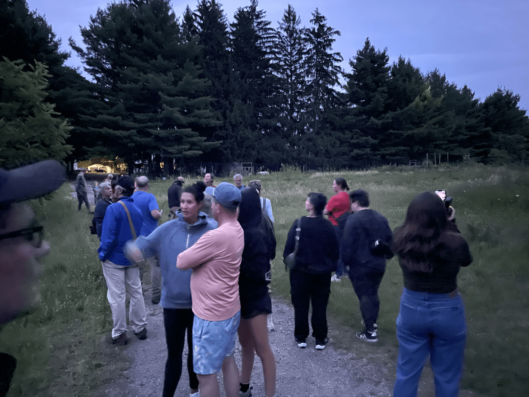 People standing around waiting for dark in the forest