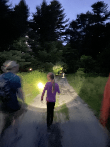 Child walking in woods with flashlight